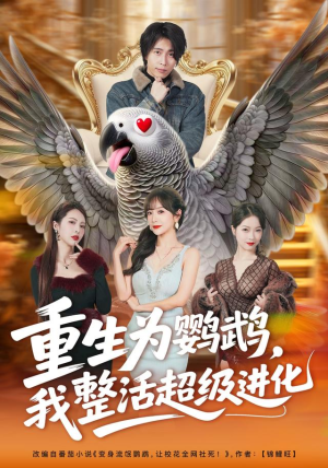 重生为鹦鹉，我整活超级进化（70集）贝贝短剧分享