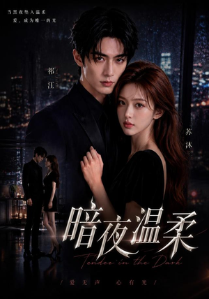 暗夜温柔(25集) 暗夜温柔(25集)一起追短剧