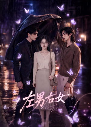 左男右女(63集) 左男右女(63集)好看吗