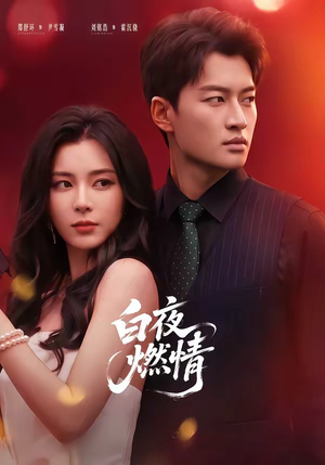 白夜燃情(64集) 白夜燃情(64集)口碑之选免费看