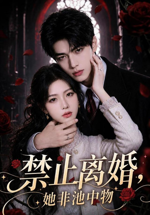 禁止离婚，她非池中物（144集）怎么看全集