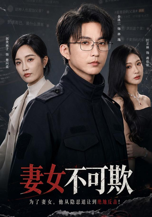 妻女不可欺(61集) 妻女不可欺(61集)1-102集