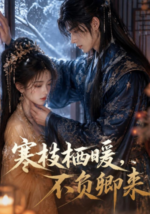 寒枝栖暖,不负卿来(50集) 寒枝栖暖,不负卿来(50集)一个短剧看全集