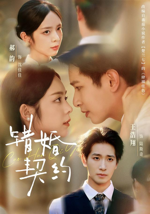 错婚契约(66集) 错婚契约(66集)高清画质免费看