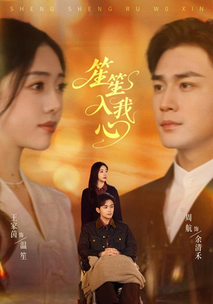 笙笙入我心(90集) 笙笙入我心(90集)超好看的短剧