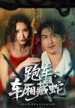 跑车:车厢藏蛇(54集) 跑车:车厢藏蛇(54集)第32集