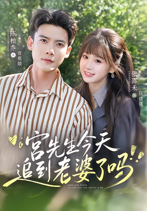 宫先生今天追到老婆了吗（73集）大结局一气呵成
