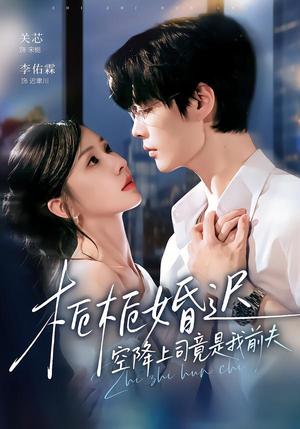 栀栀婚迟，空降上司竟是我前夫（76集）短剧在线观看