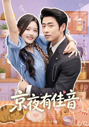 京夜有佳音(68 集) 京夜有佳音(68 集)全季一次看完