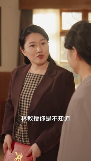 乡城往事之南风骤起（52 集）超好看古装短剧