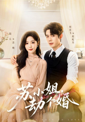 苏小姐,劫个婚(80 集) 苏小姐,劫个婚(80 集)在线观看全集