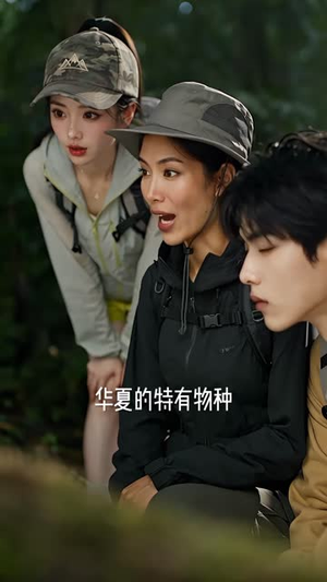 恋综反套路，我靠抽象爆火了 （86集）短剧免费看