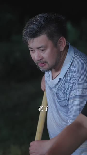 别惹我家猪（45 集）全集一网打尽