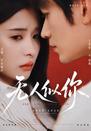 无人似你（70 集）观看软件